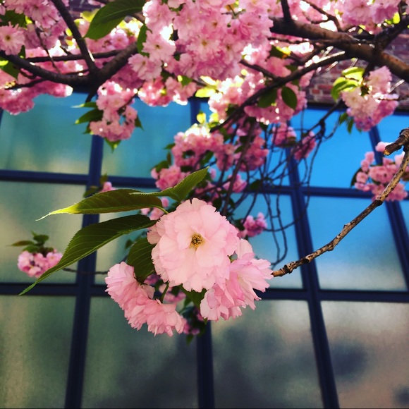 Meet Your Posher - Picture 1 of 1